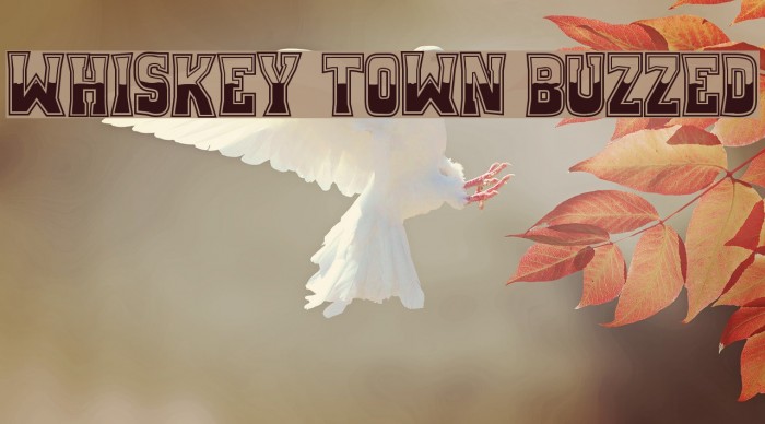 Whiskey Town Buzzed Font examples