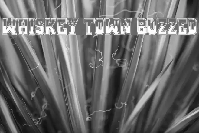 Whiskey Town Buzzed Font examples