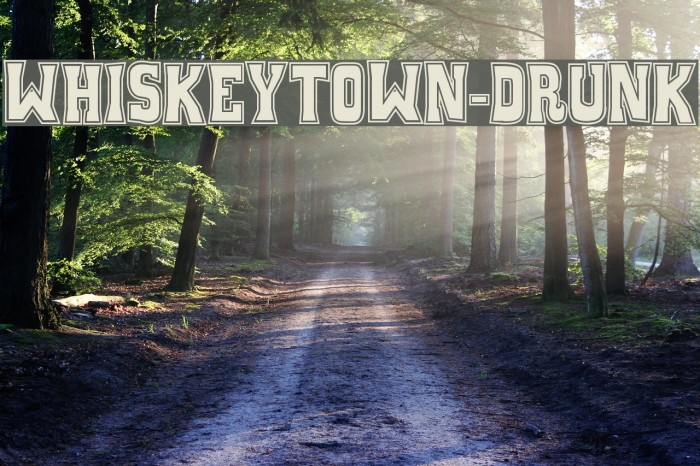 WhiskeyTown-Drunk Font examples