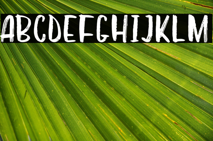 Whisky Coke Example 1