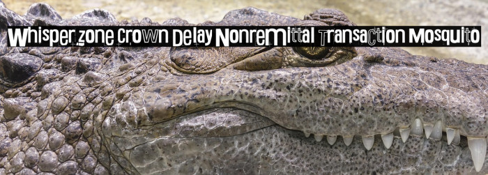 Whisper Zone Crown Delay Nonremittal Transaction Mosquito Example 1