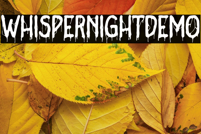 WhisperNightDemo Example 2