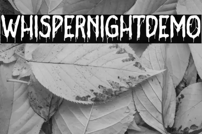 WhisperNightDemo Font examples
