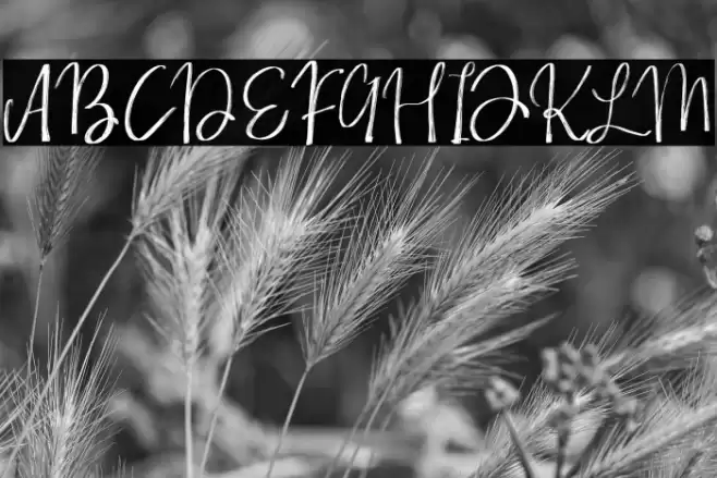 Whisper Font examples