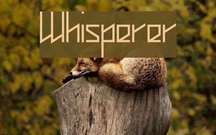 Whisperer Font examples