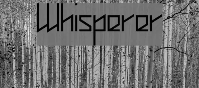 Whisperer Font examples