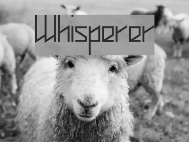 Whisperer Font examples