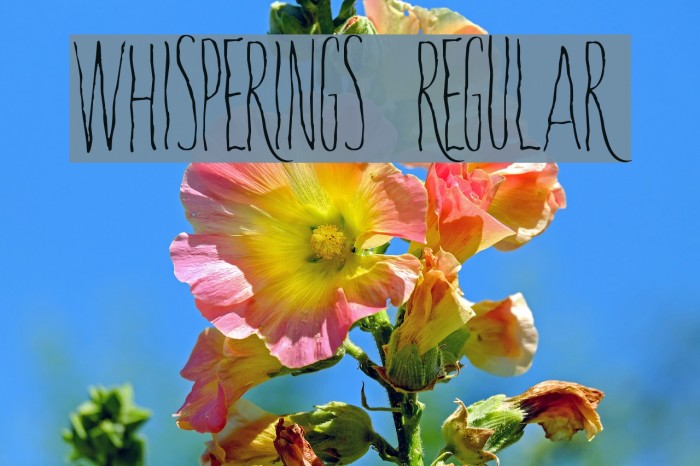 Whisperings-Regular Example 1