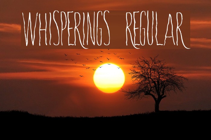 Whisperings-Regular Example 3