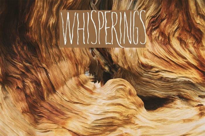 Whisperings Font examples