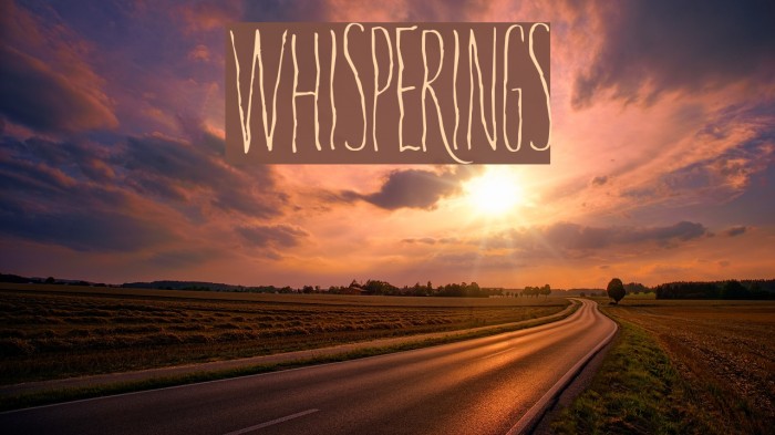 Whisperings Font examples