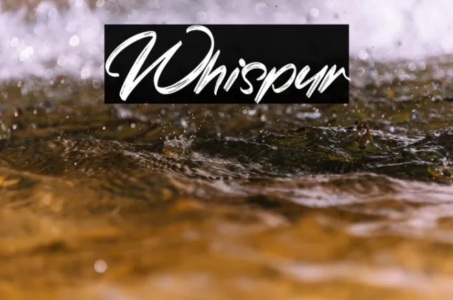Whispur Example 1