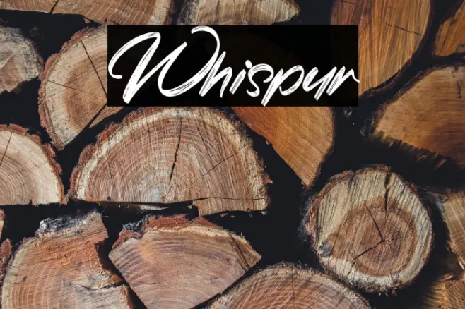 Whispur Example 2
