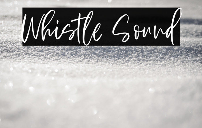 Whistle Sound Example 1