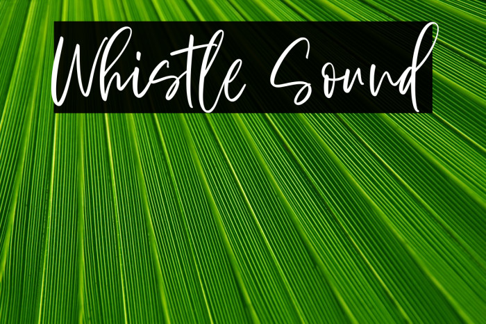 Whistle Sound Example 3