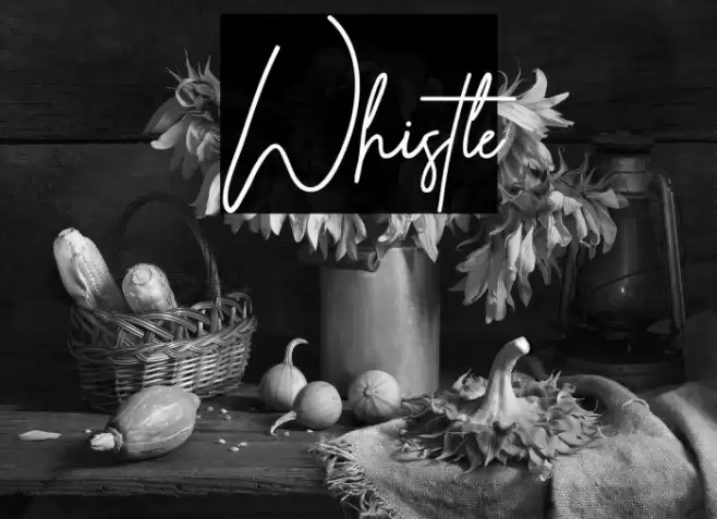 Whistle Font examples