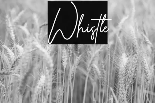 Whistle Font examples