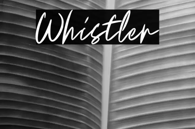 Whistler Font examples