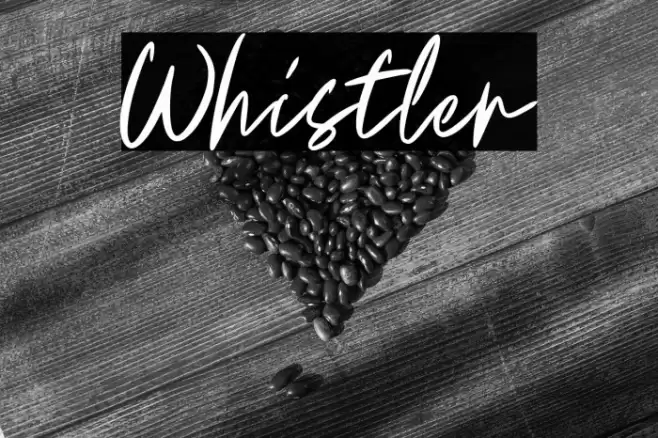 Whistler Font examples