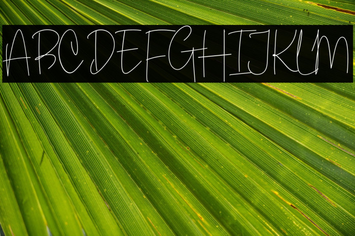 White Apparel Example 1