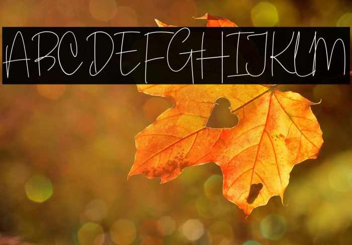 White Apparel Example 3