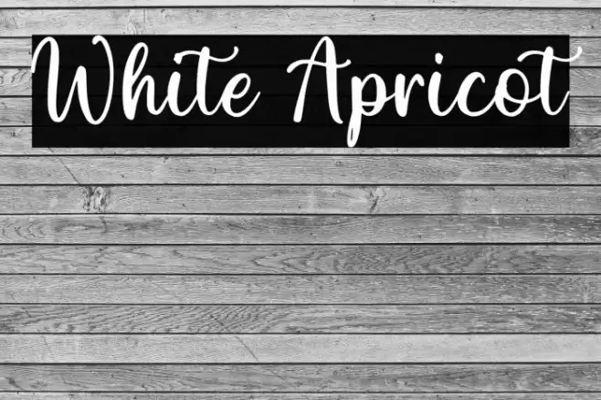 White Apricot Font examples