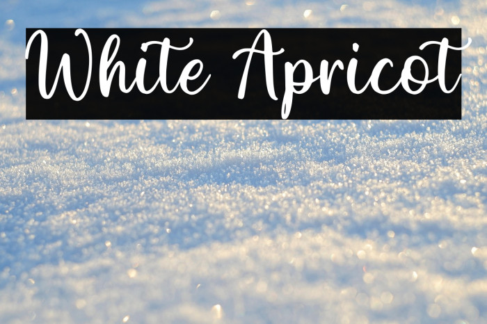 White Apricot Example 2