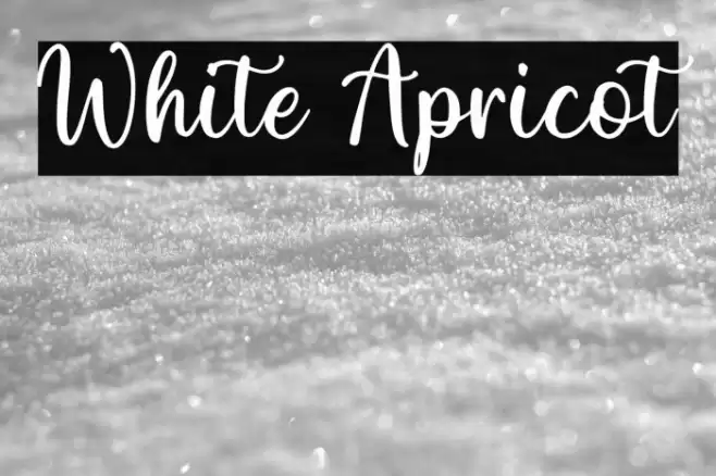 White Apricot Font examples