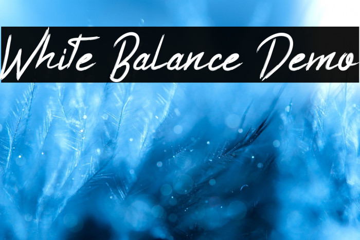 White Balance Demo Example 1