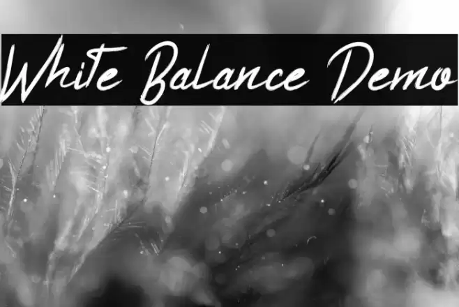 White Balance Demo Font examples