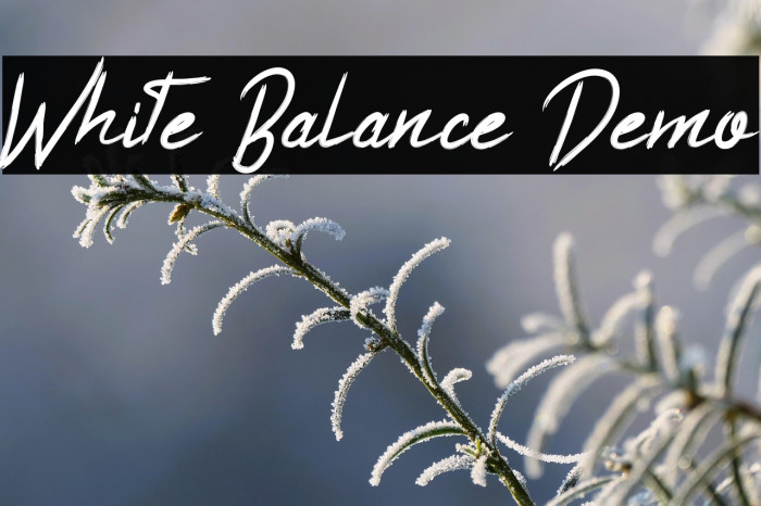 White Balance Demo Example 2