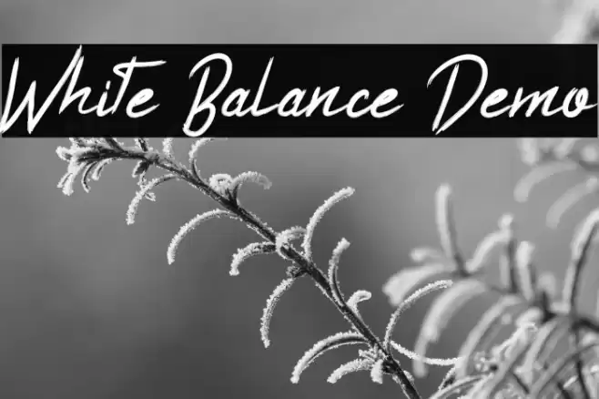 White Balance Demo Font examples