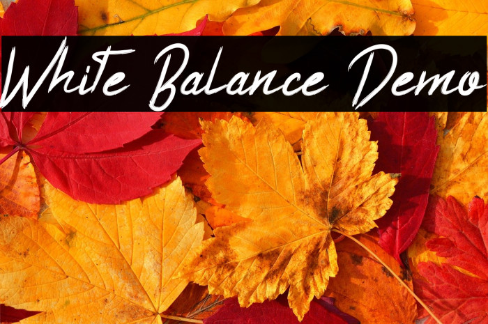 White Balance Demo Example 3