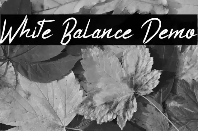 White Balance Demo Font examples