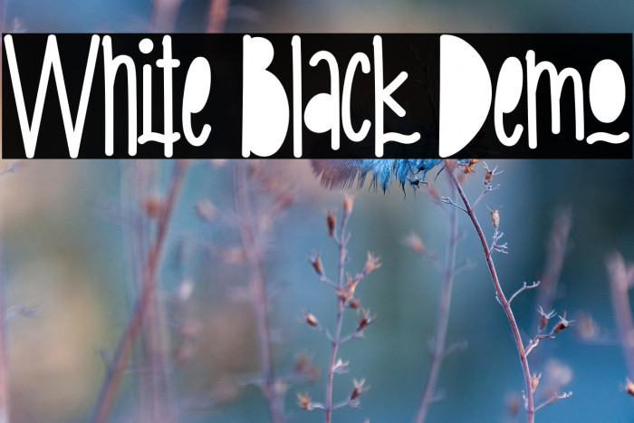 White Black Demo Example 1