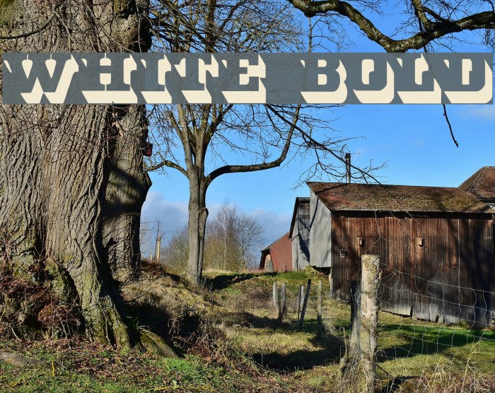White Bold Font examples