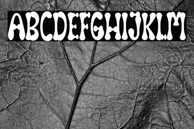 White Bones Fuentes examples