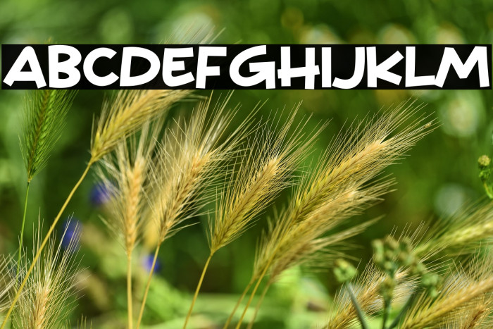 White Bread Example 3