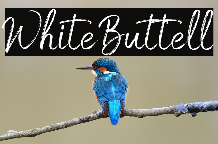 White Buttell Example 1