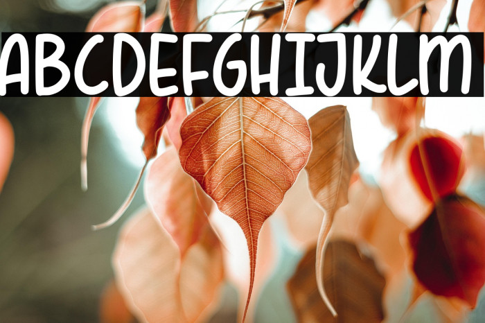 White Cakes Example 2