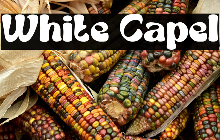 White Capel Example 1