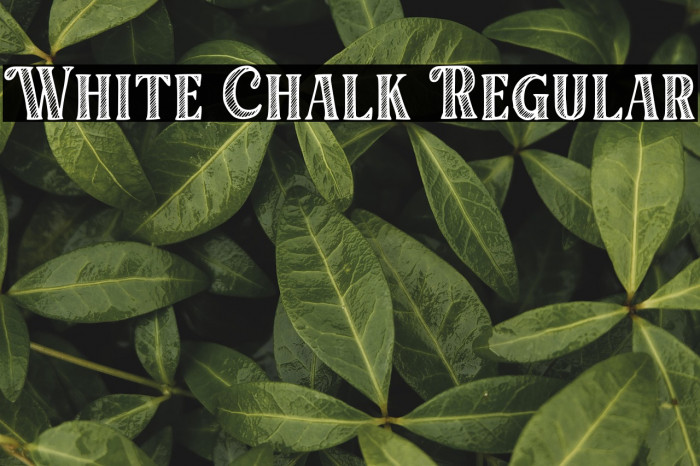 White Chalk Regular Example 2