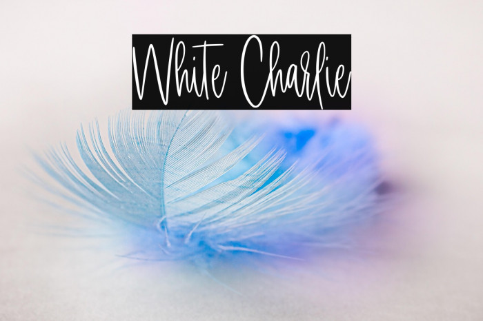 White Charlie Example 1