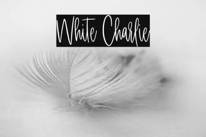 White Charlie Caratteri examples
