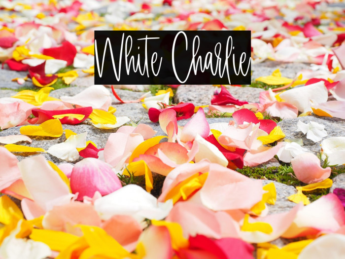 White Charlie Example 3