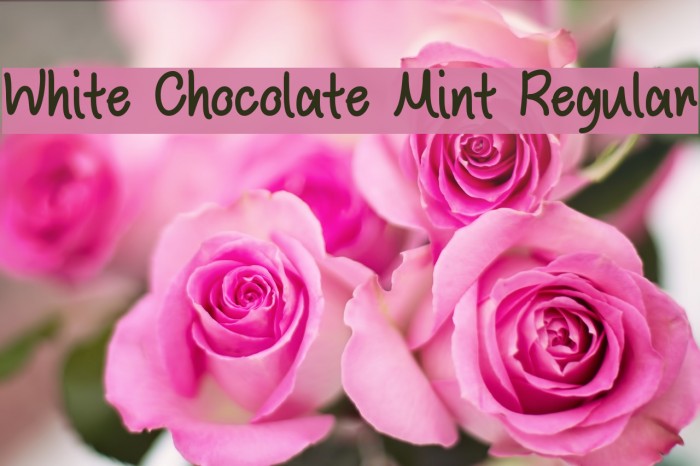 White Chocolate Mint Regular Fuentes examples