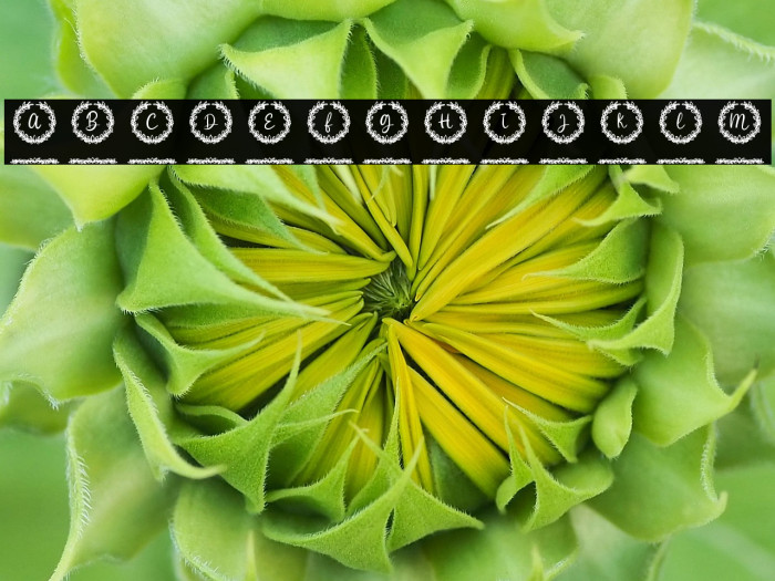 White Christmas Monogram Reg Example 3