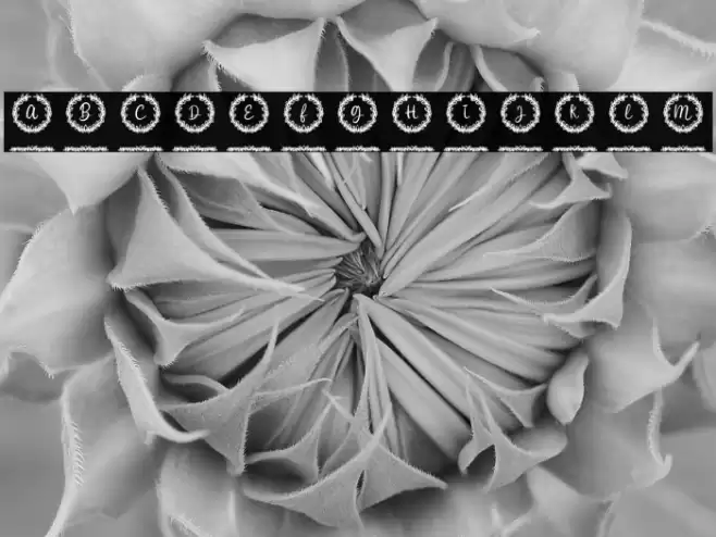 White Christmas Monogram Reg Font examples