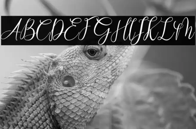 White Chunti Demo Font examples