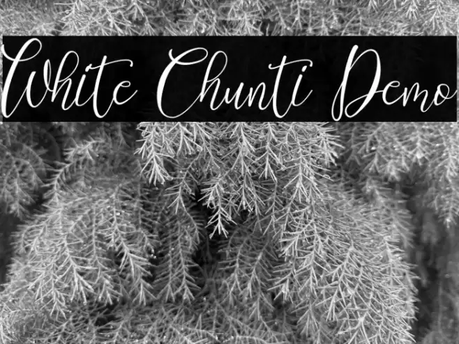 White Chunti Demo Font examples